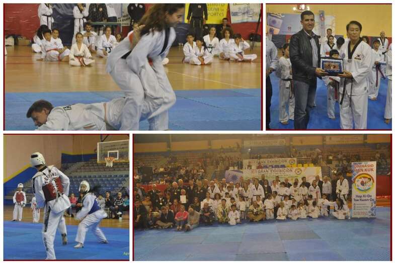 La exhibición de las artes marciales tuvo lugar en el Polideportivo Rita Hernández este sábado (Foto TF)
